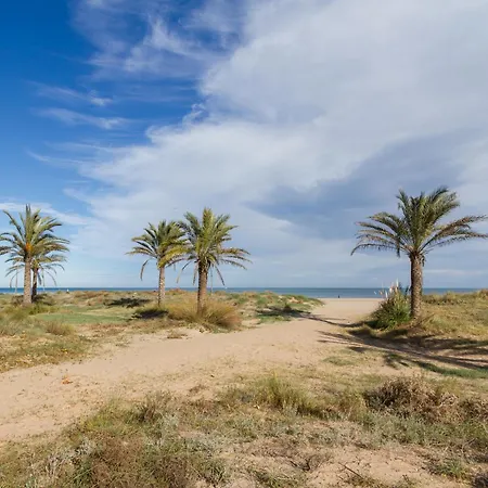 Mejor Zona De * Gandia